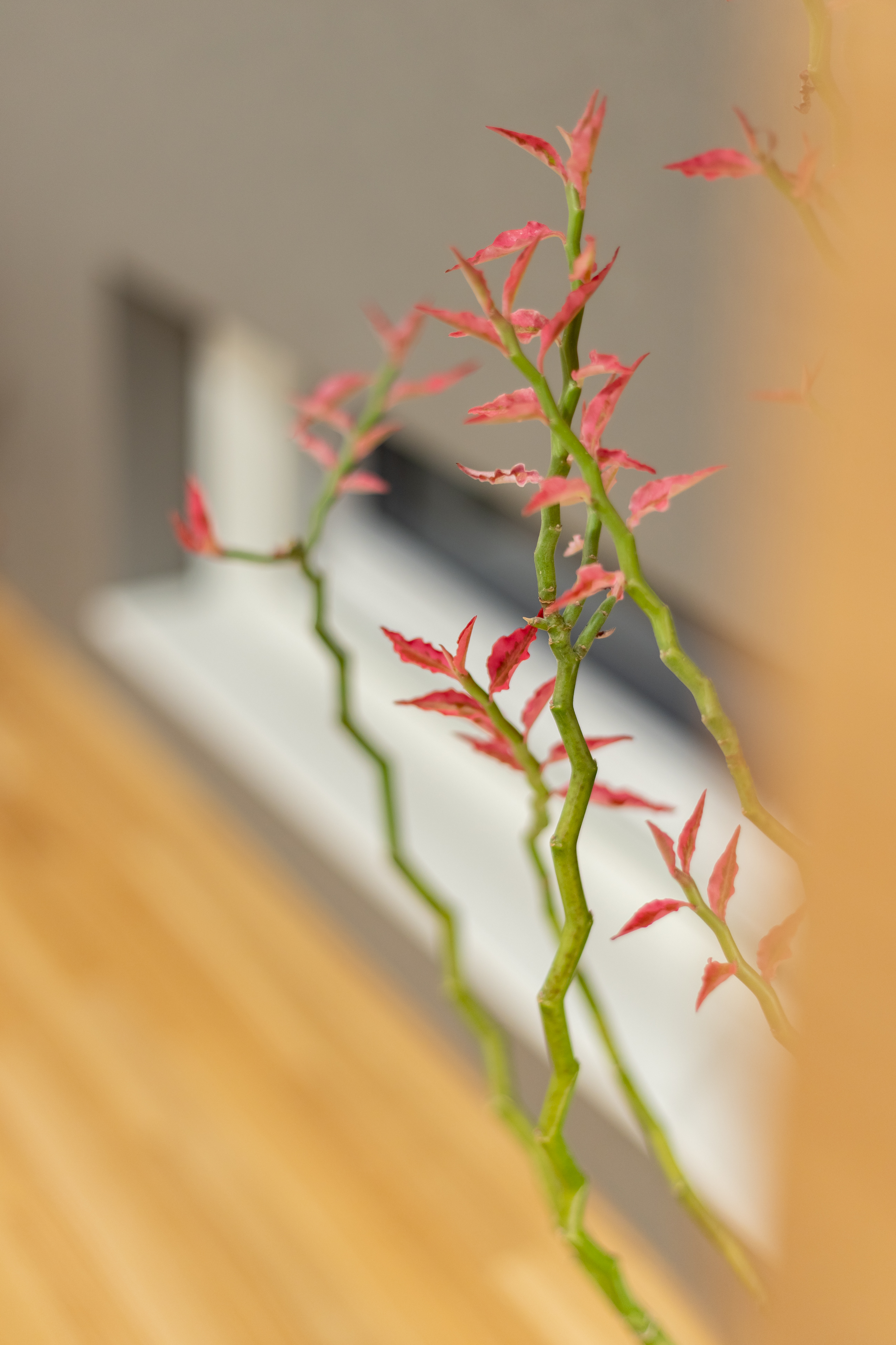施工事例05 写真16